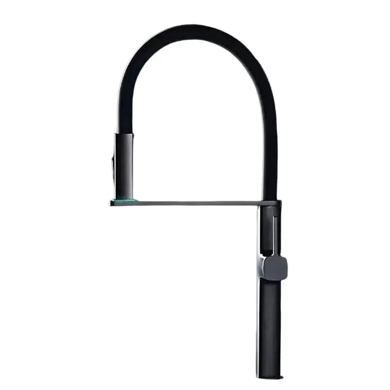 Robinet de cuisine professionnel col flexible noir mono-commande