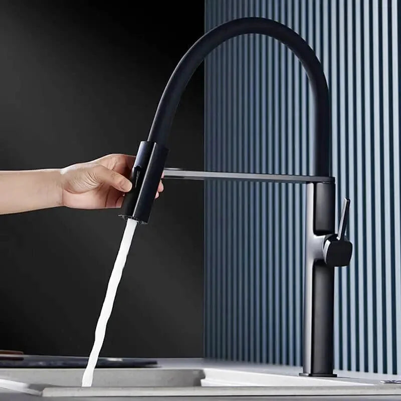 Robinet de cuisine professionnel col flexible noir mono-commande