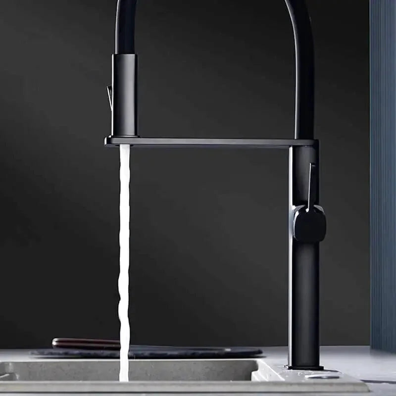Robinet de cuisine professionnel col flexible noir mono-commande