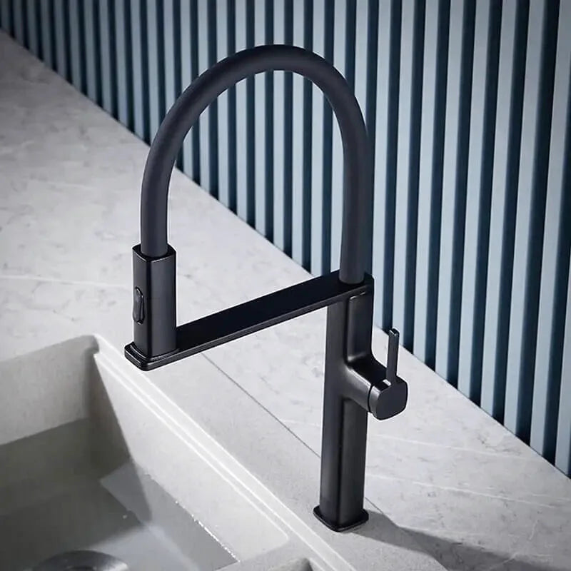 Robinet de cuisine professionnel col flexible noir mono-commande
