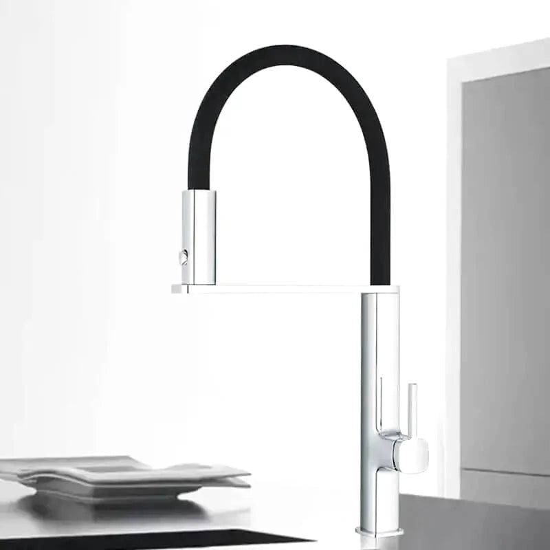 Robinet de cuisine professionnel col flexible noir mono-commande
