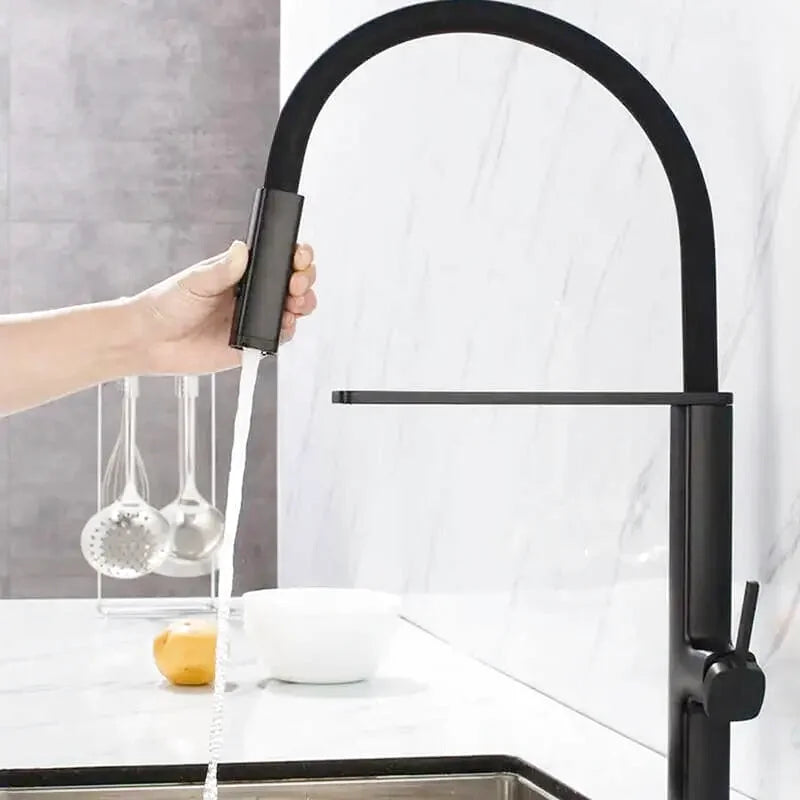 Robinet de cuisine professionnel col flexible noir mono-commande