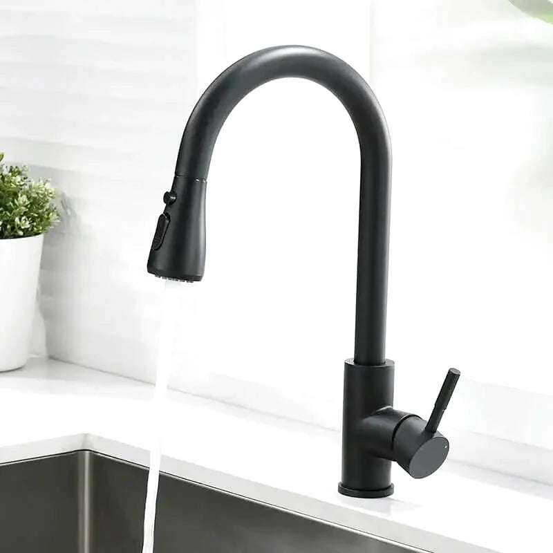 Robinet Cuisine Extensible
