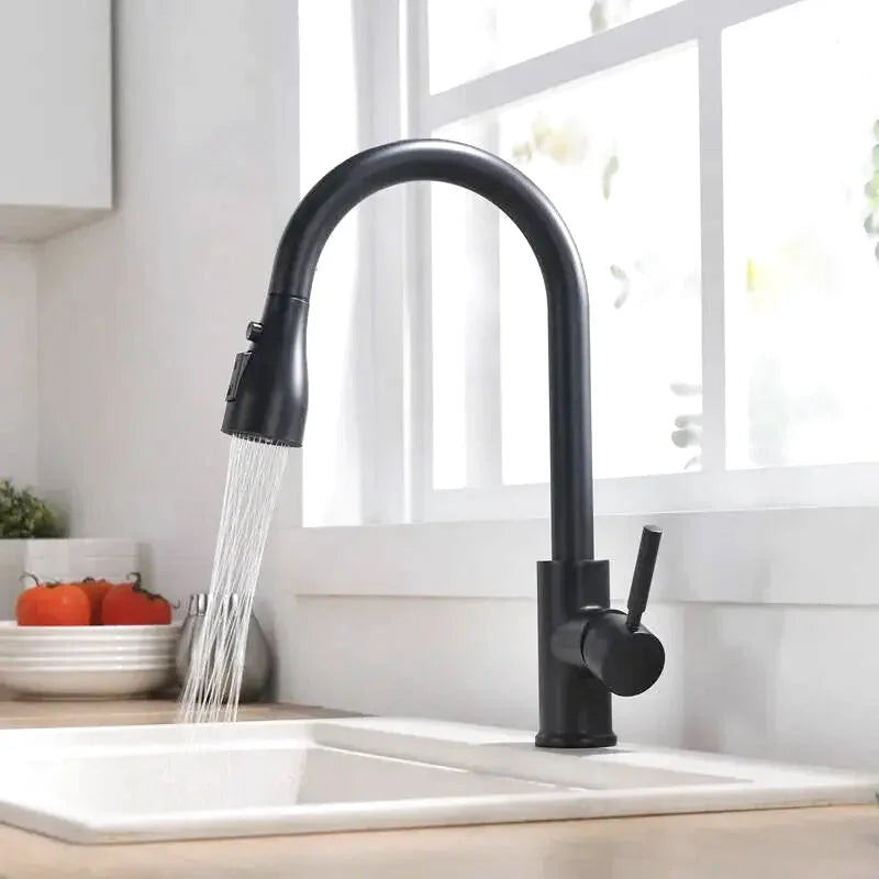 Robinet Cuisine Extensible