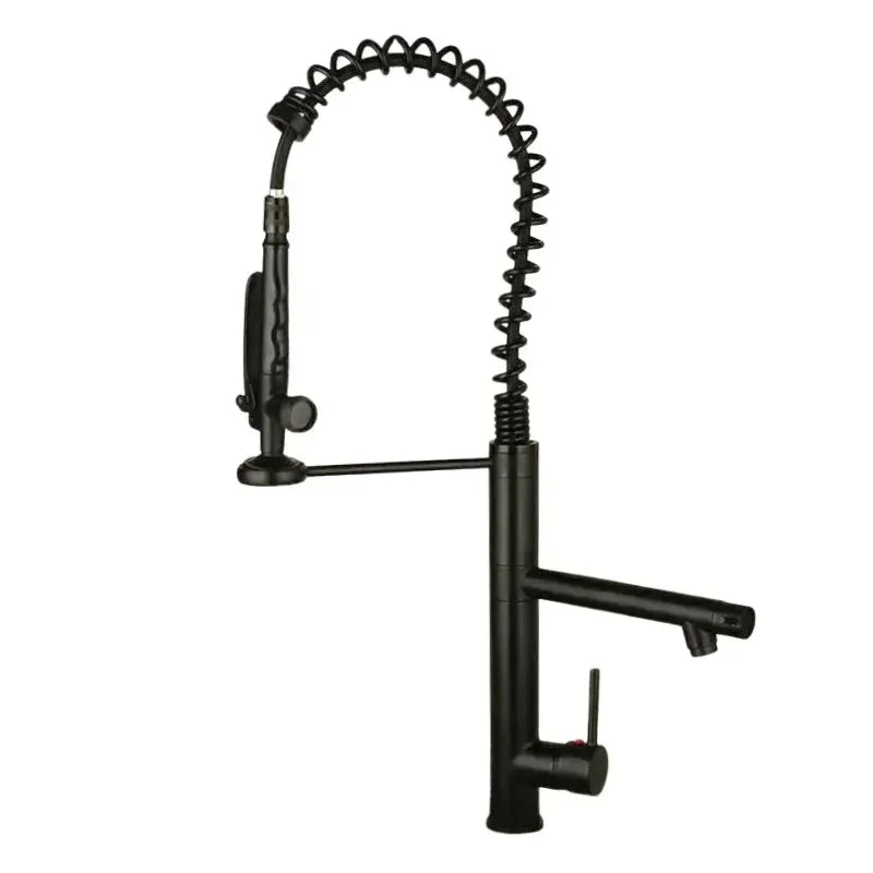 Robinet Cuisine Professionnel