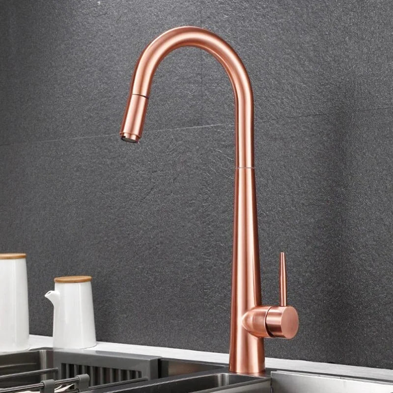 Robinet Cuisine Douchette