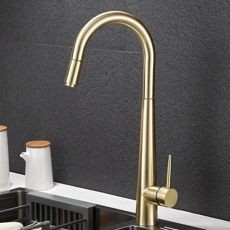 Robinet Cuisine Douchette