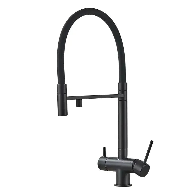 Robinet cuisine flexible noir double commande eau filtrée