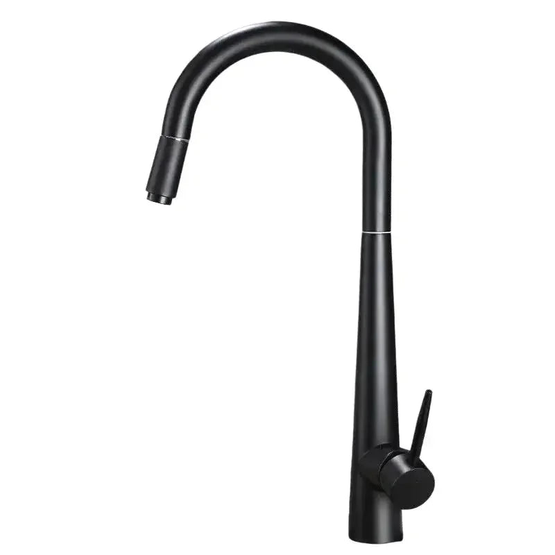Robinet Cuisine Douchette