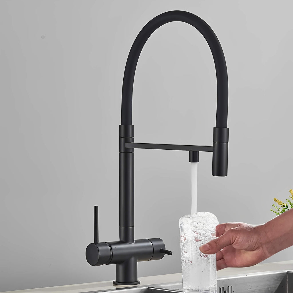 Robinet cuisine noir avec douchette et eau filtrée