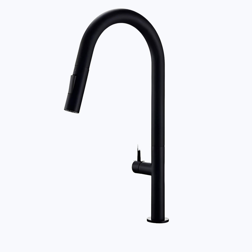 Robinet de cuisine avec douchette extractible