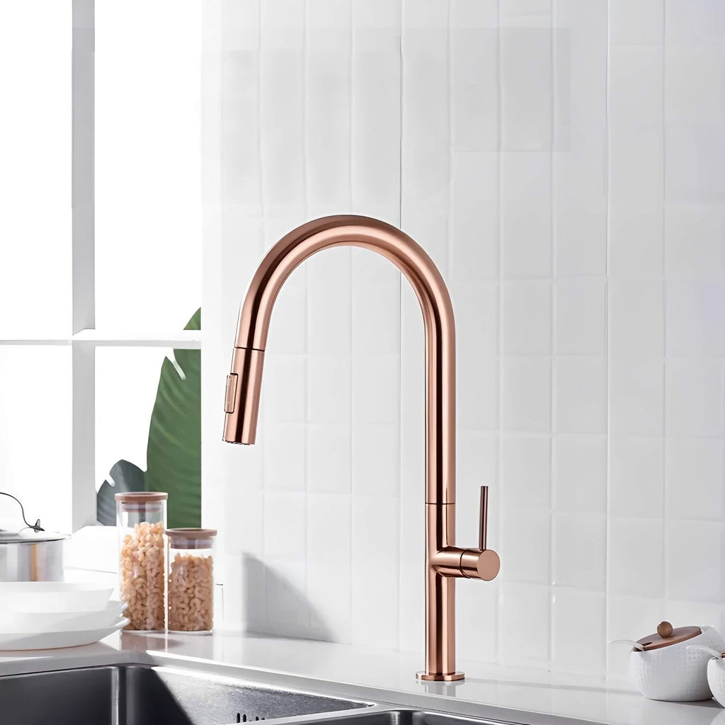 Robinet de cuisine avec douchette extractible