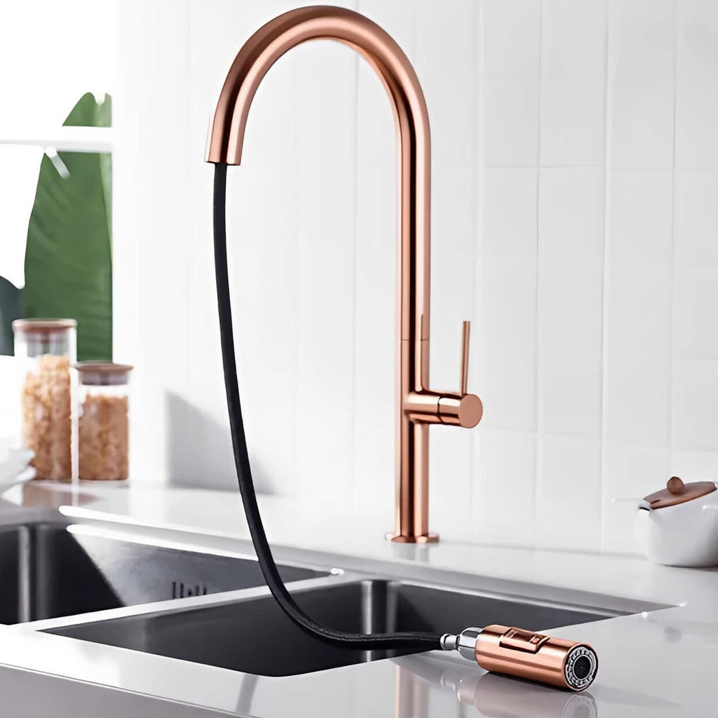 Robinet de cuisine avec douchette extractible
