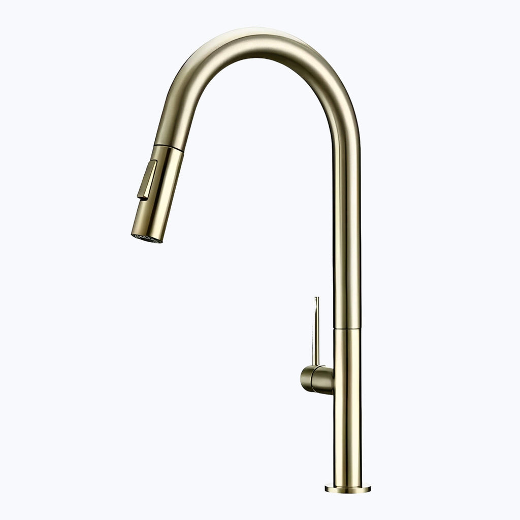 Robinet de cuisine avec douchette extractible