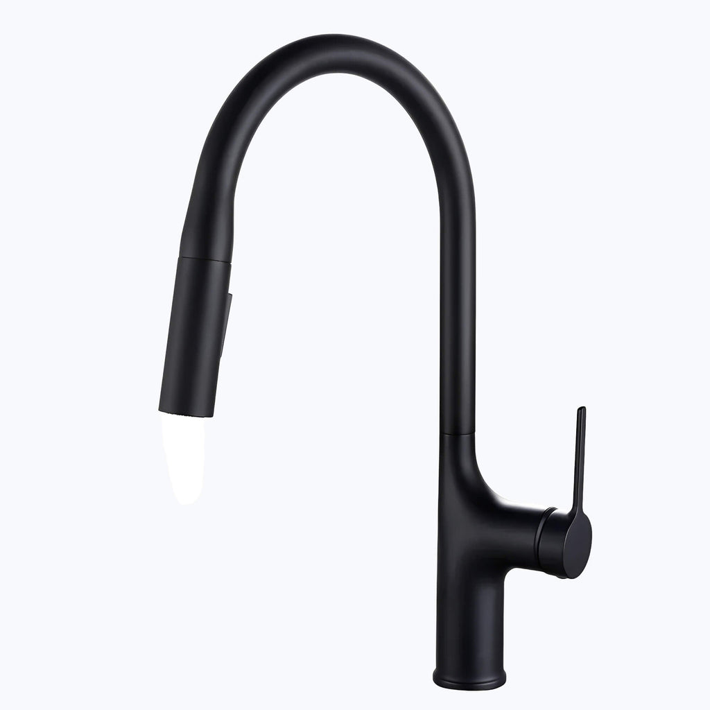 Robinet de cuisine extractible bec haut deux jets