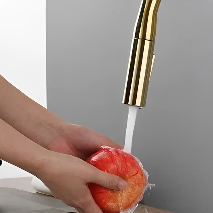 Robinet de cuisine extractible bec haut deux jets