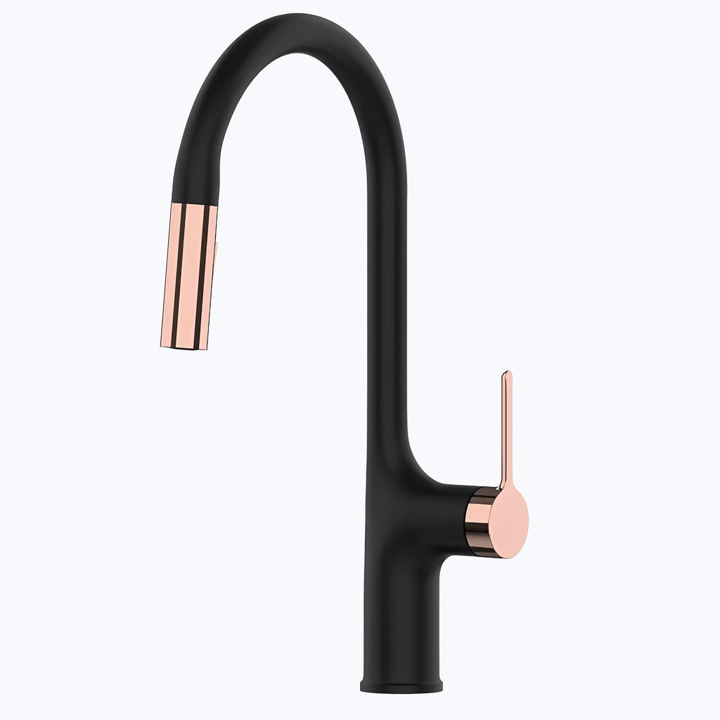 Robinet de cuisine extractible bec haut deux jets