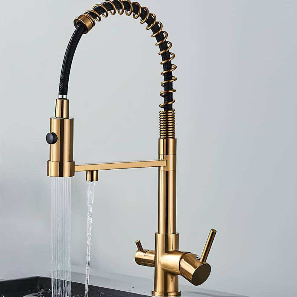 Robinet cuisine douchette eau filtrée