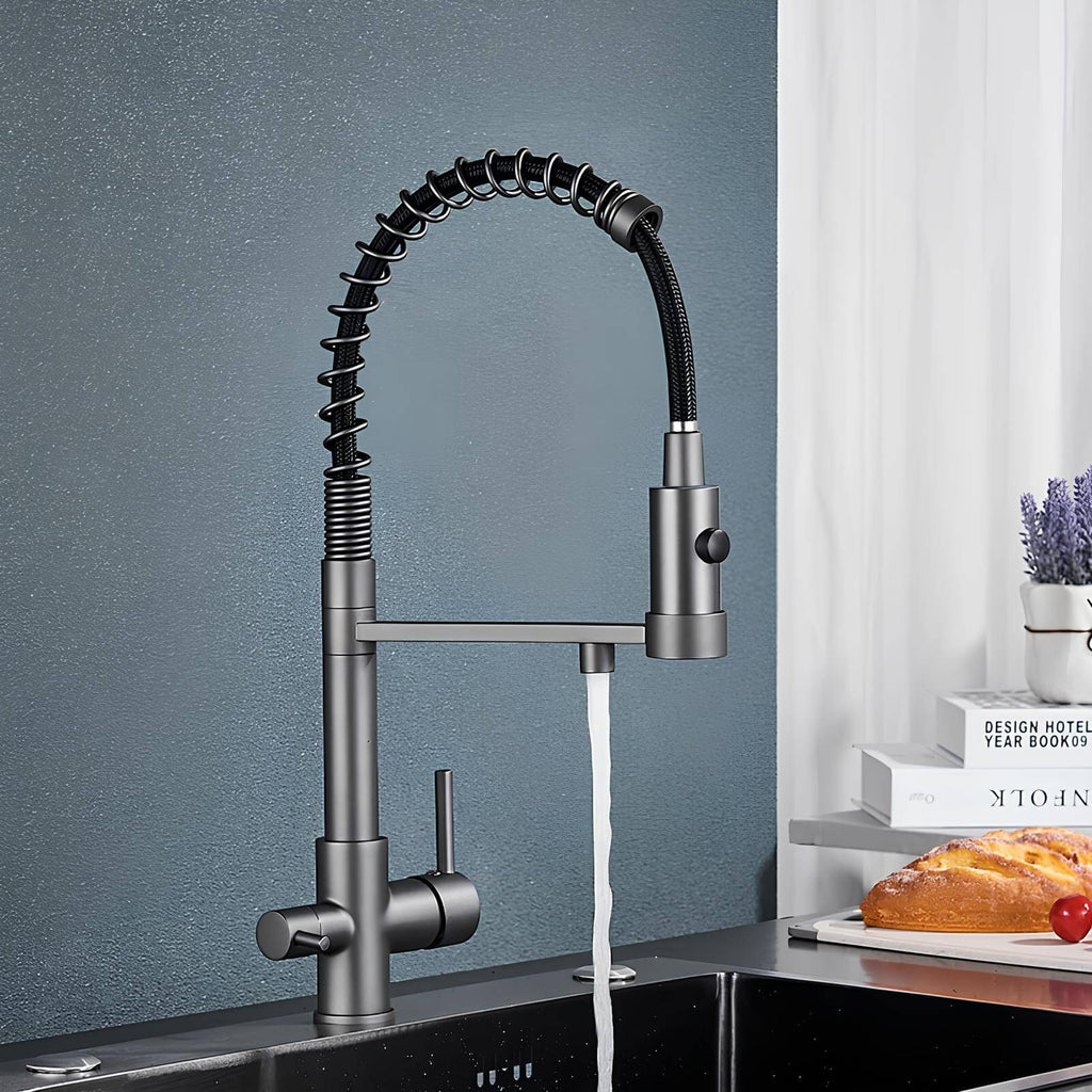 Robinet cuisine douchette eau filtrée