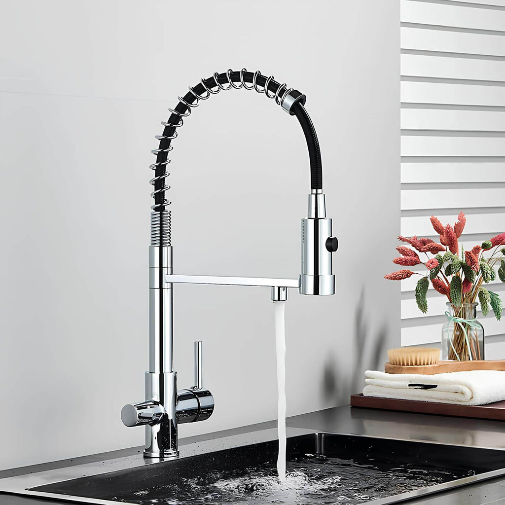 Robinet cuisine douchette eau filtrée