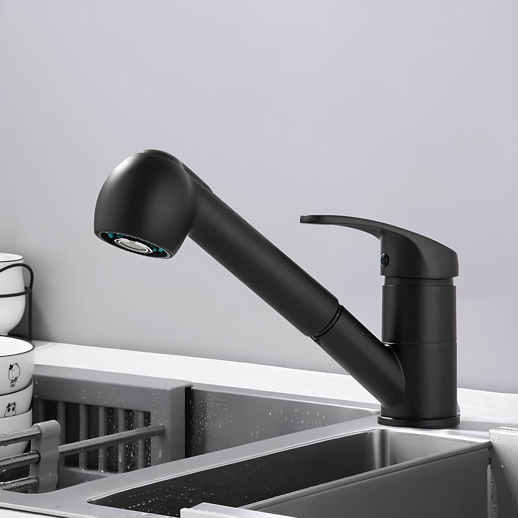 Robinet évier avec douchette extractible