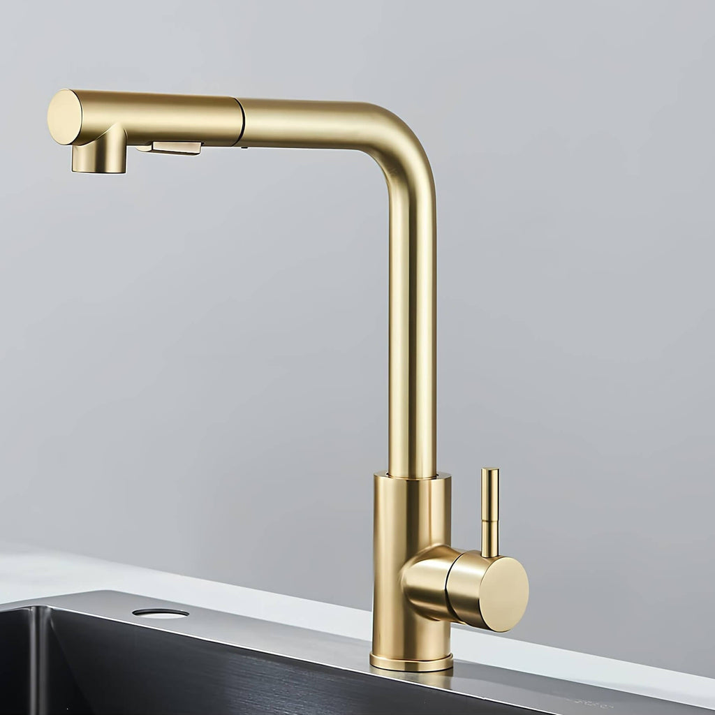 Robinet évier douchette rétractable inox
