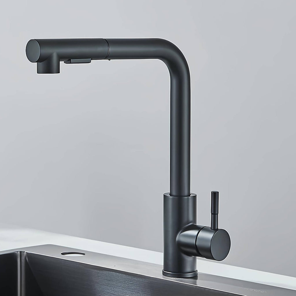 Robinet évier douchette rétractable inox