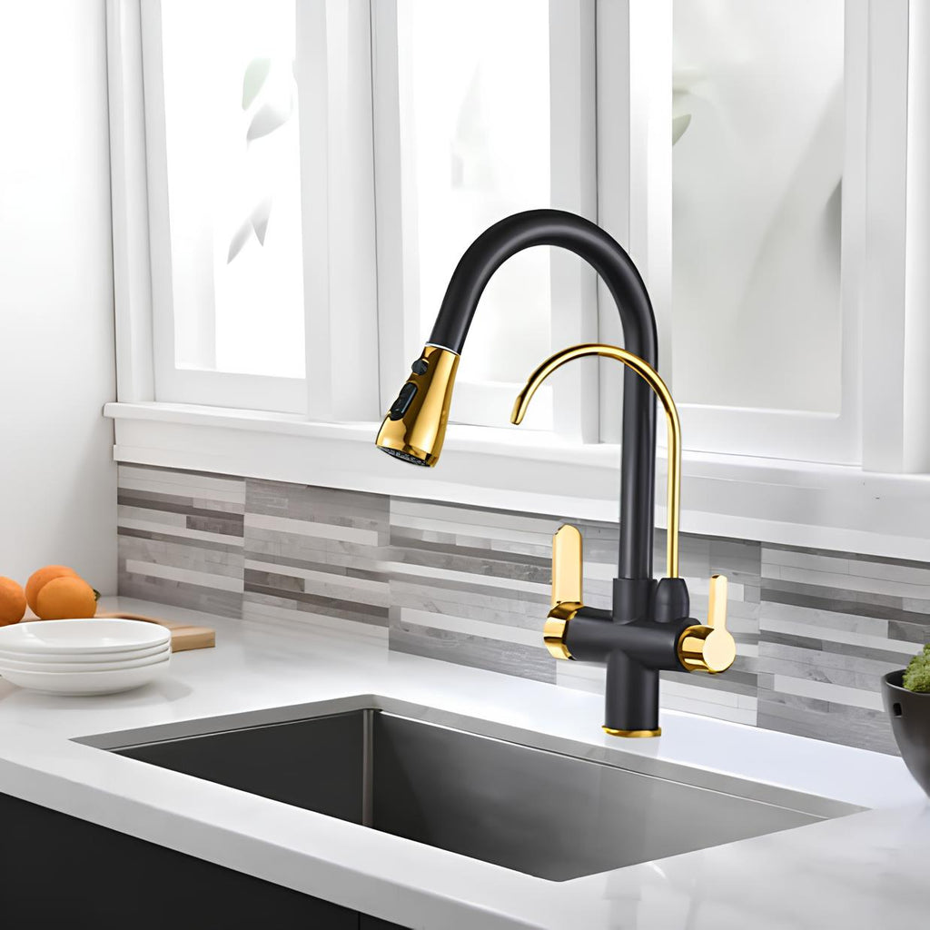 Robinet cuisine extractible avec filtre intégré bicolore