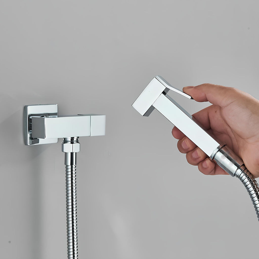 Douchette WC murale acier inoxydable