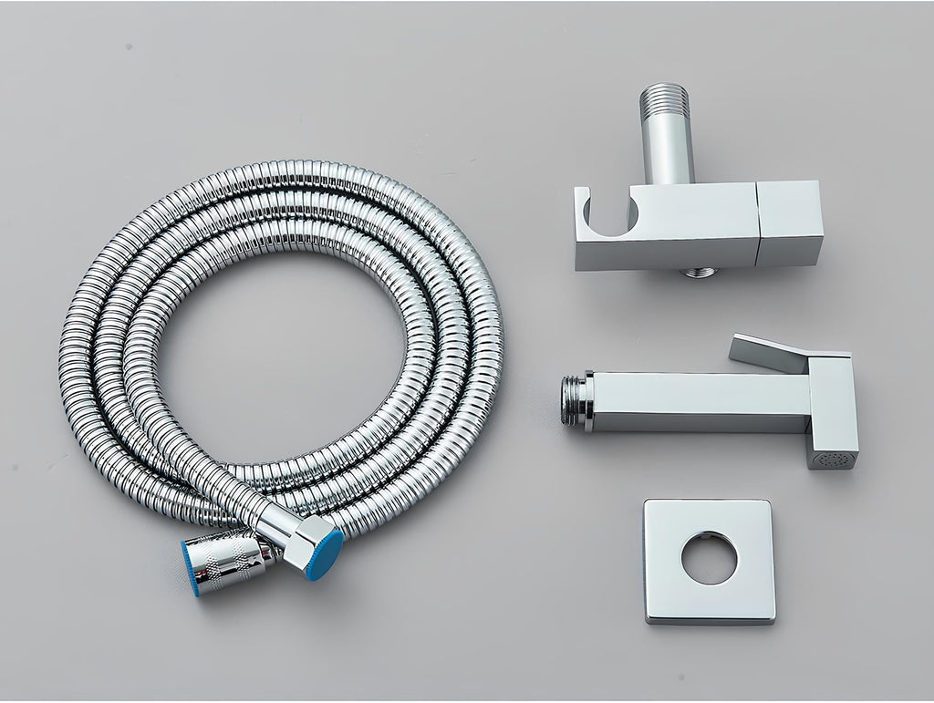 Douchette WC murale acier inoxydable