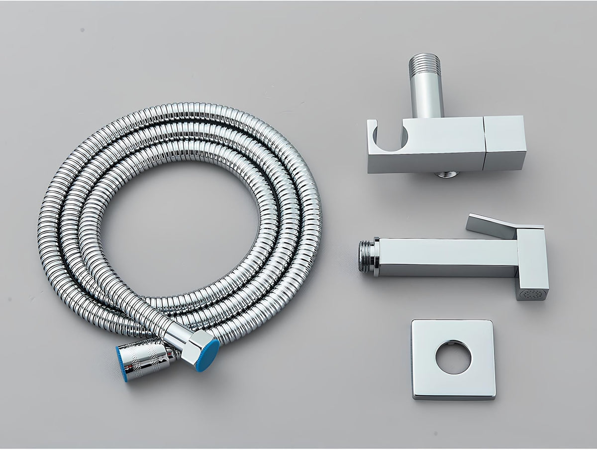 Douchette WC murale acier inoxydable