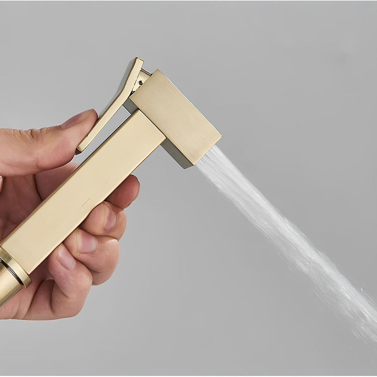 Douchette WC murale acier inoxydable