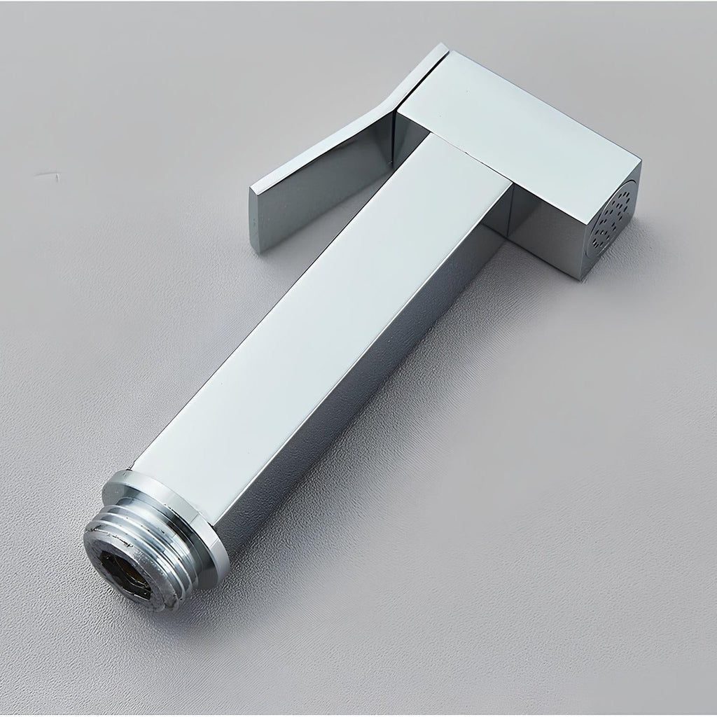 Douchette WC murale acier inoxydable