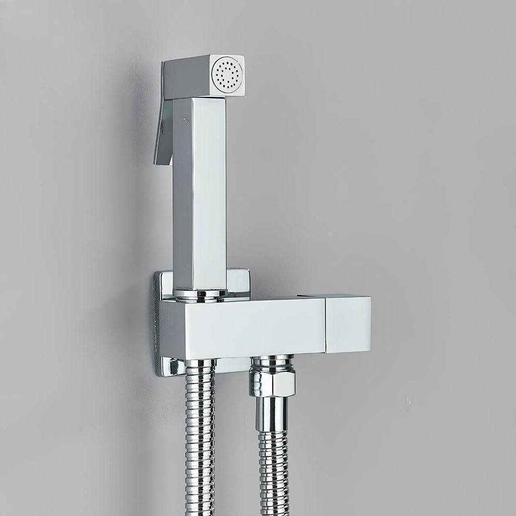 Douchette WC murale acier inoxydable