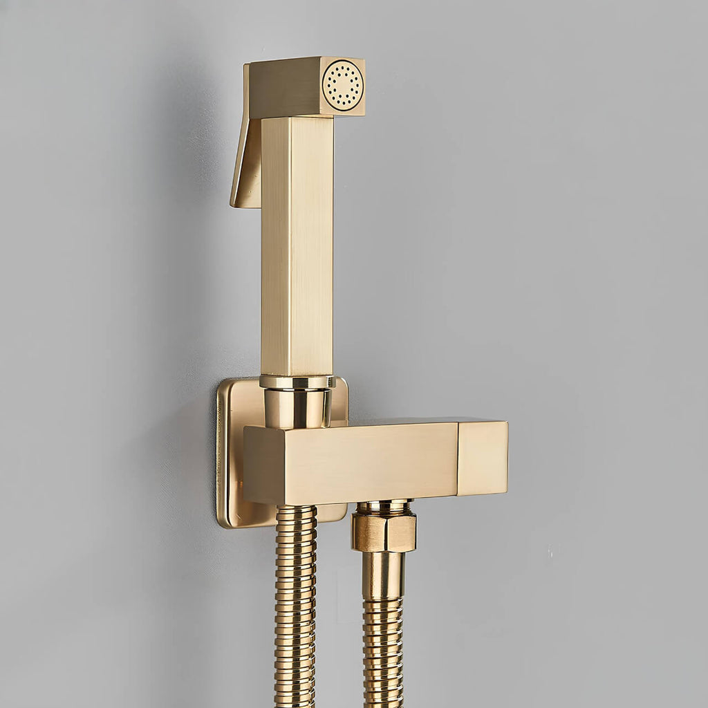 Douchette WC murale acier inoxydable