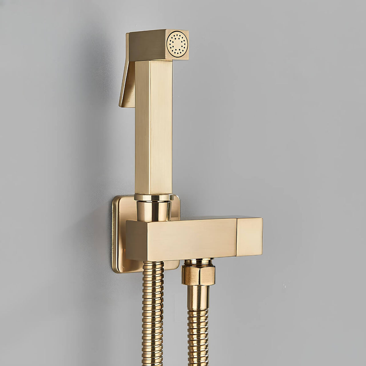Douchette WC murale acier inoxydable