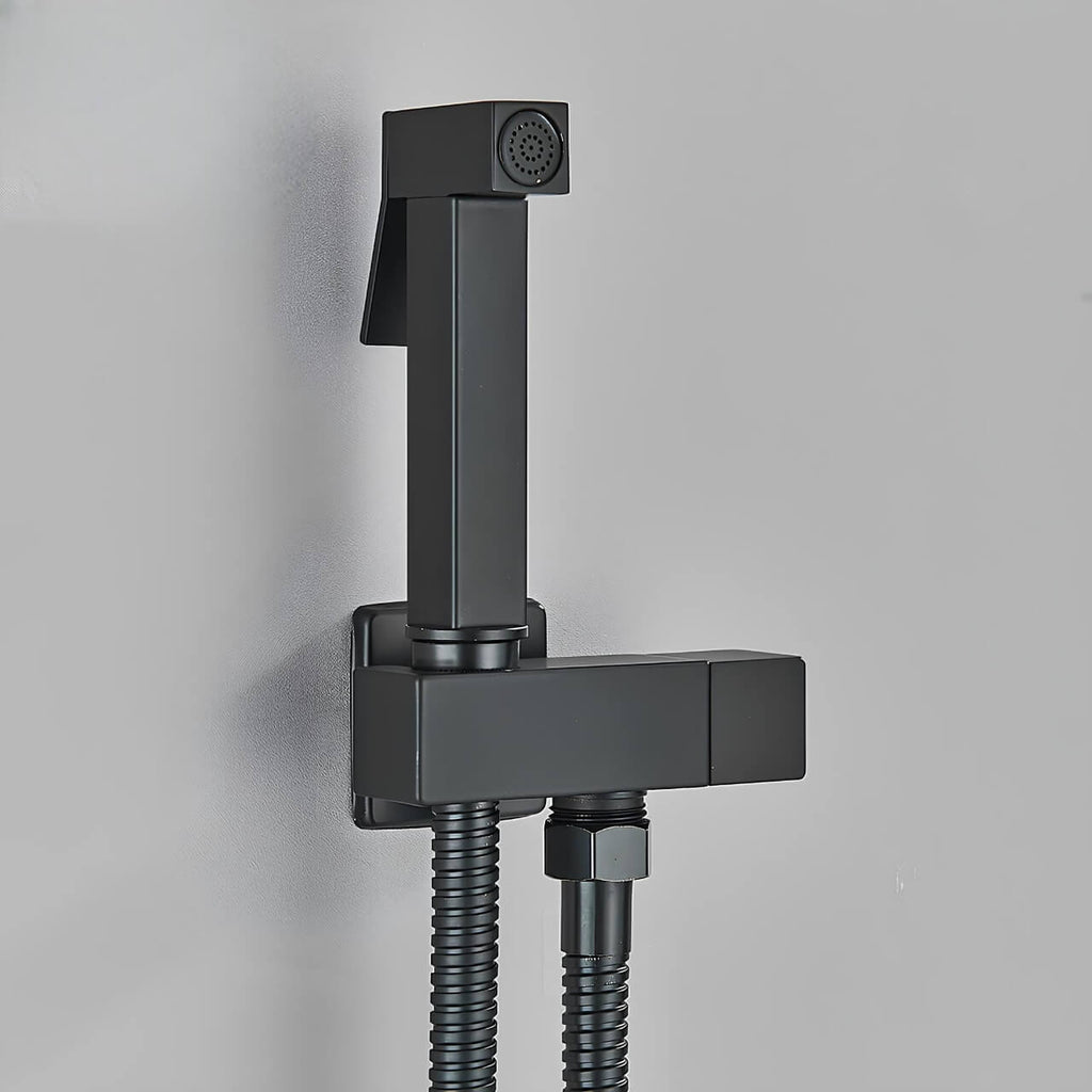 Douchette WC murale acier inoxydable