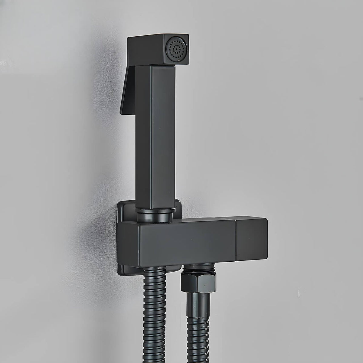 Douchette WC murale acier inoxydable