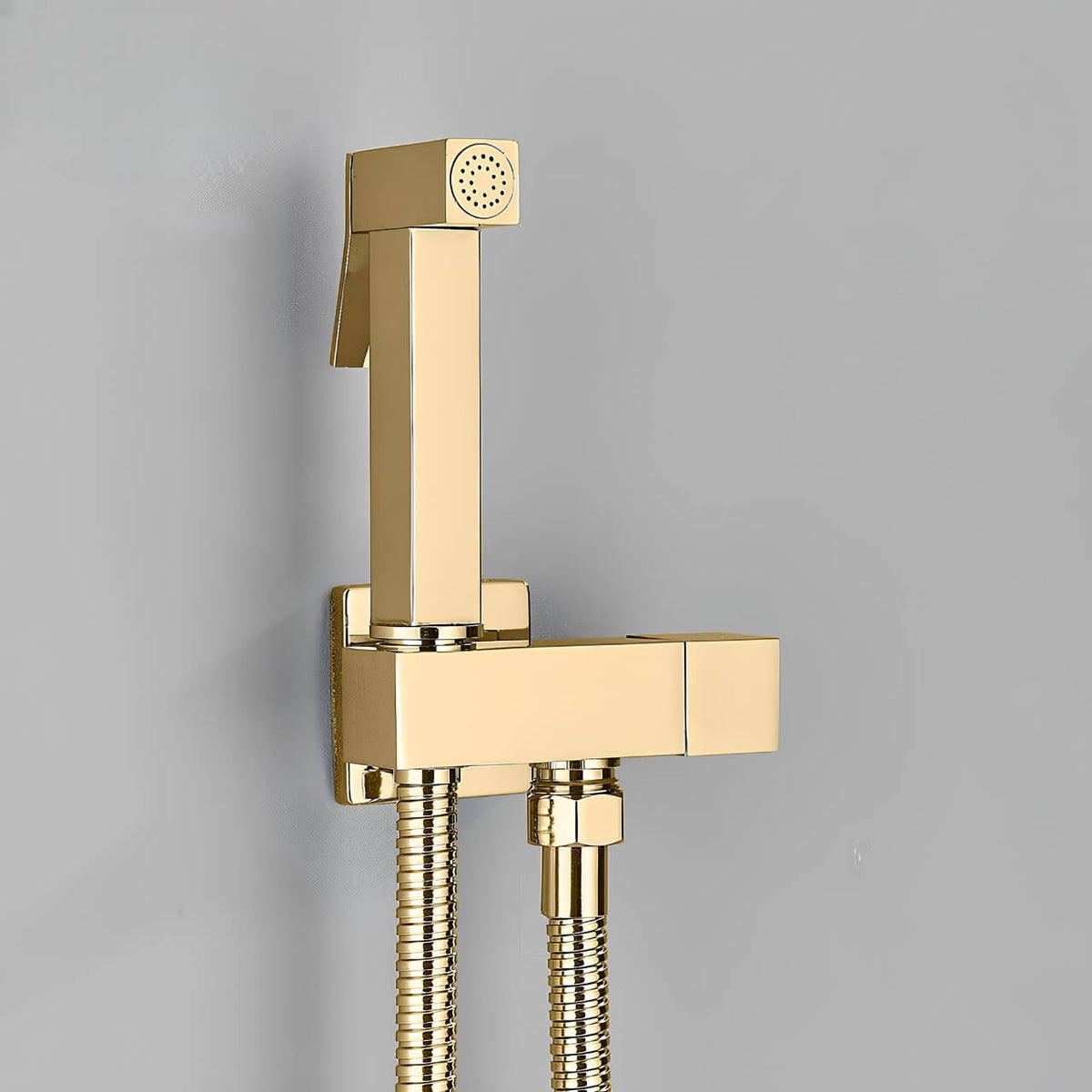Douchette WC murale acier inoxydable