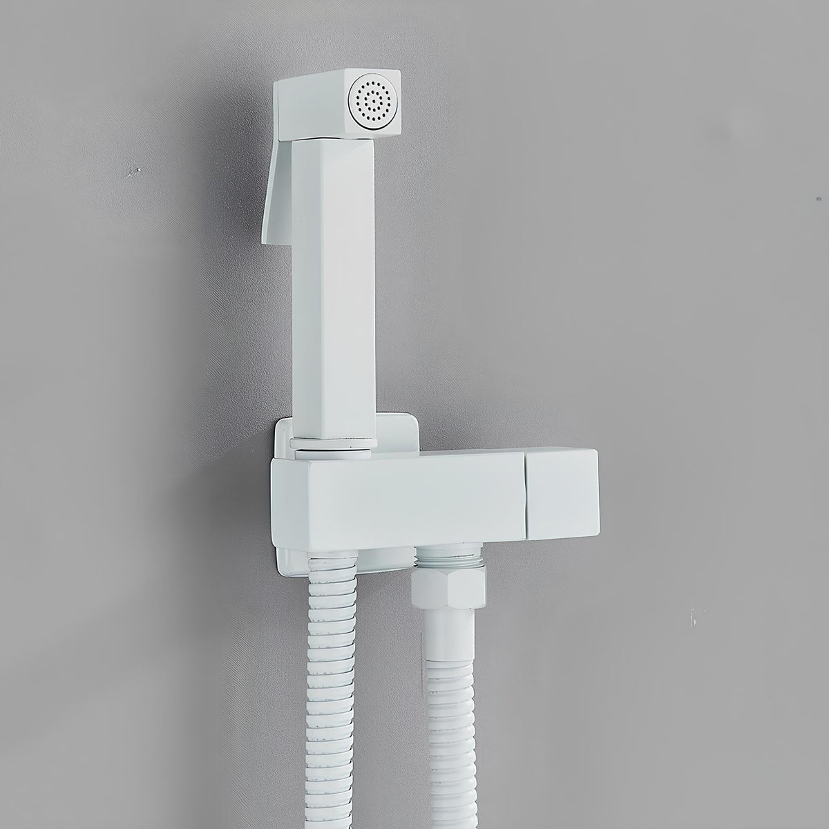 Douchette WC murale acier inoxydable